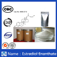 Hochreines und gutes Effektpulver Estradiol Enanthate